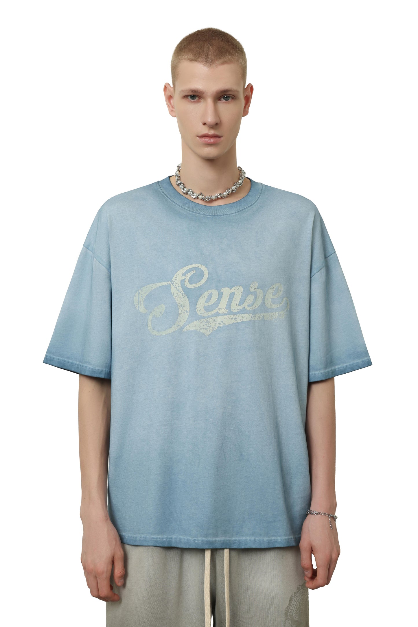 
                  
                    SNE Spray Dyed Graphic SS Steel Blue【M26-T11SB】
                  
                