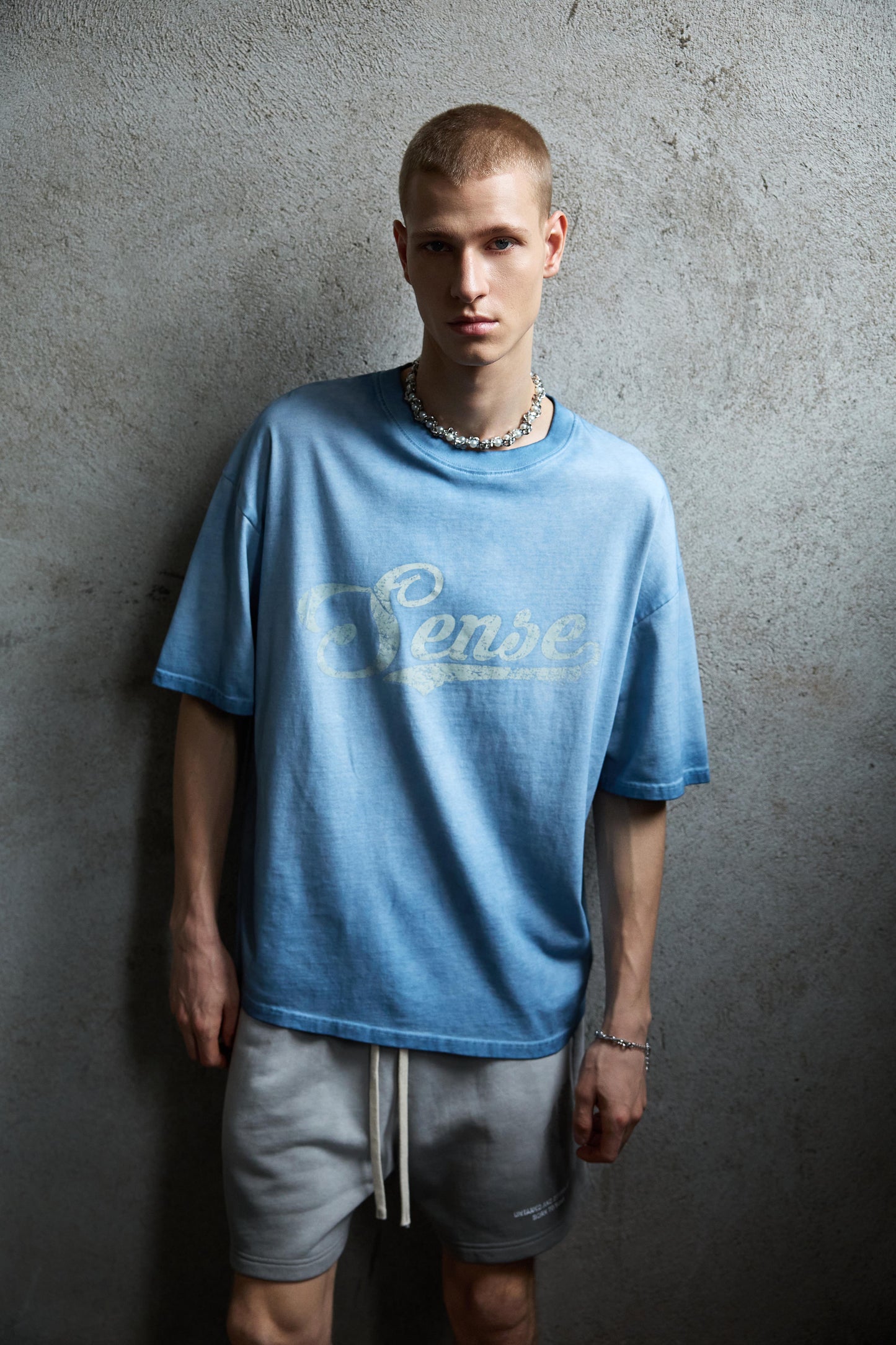 
                  
                    SNE Spray Dyed Graphic SS Steel Blue【M26-T11SB】
                  
                