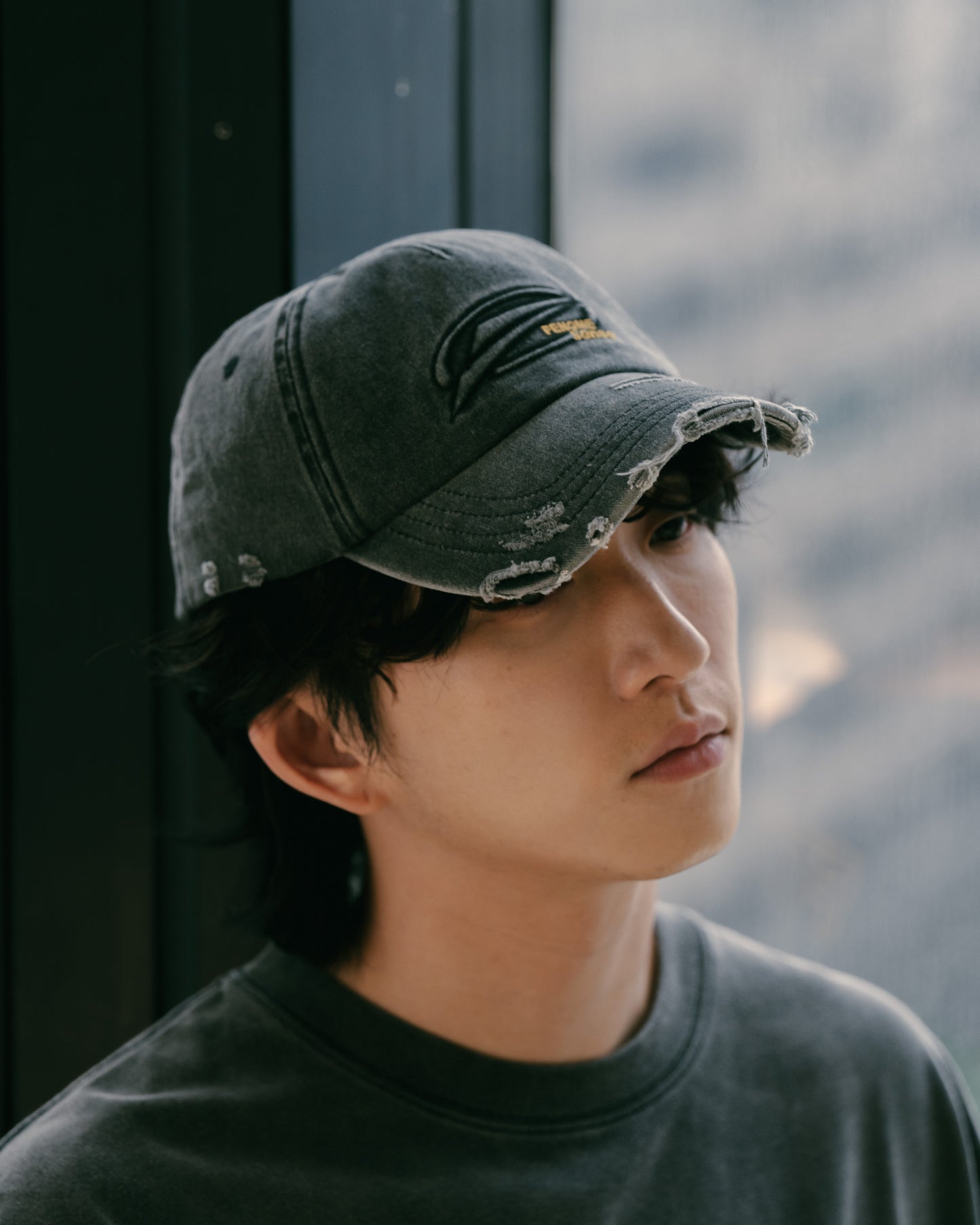 
                  
                    Destroy Washed Logo Cap Coal Black【SNExFM-ACC01CB】
                  
                