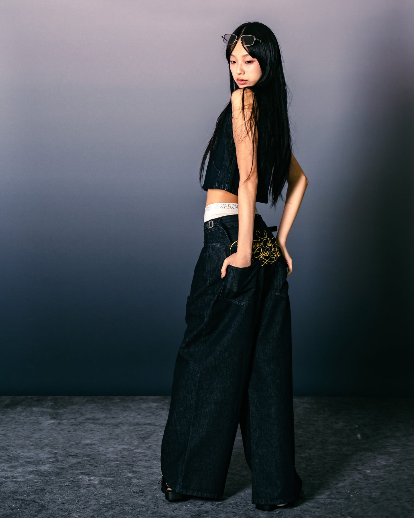 
                  
                    Low-Rise Wide-Leg Jeans Pleat Shutter Blue【L26-13PSB】
                  
                